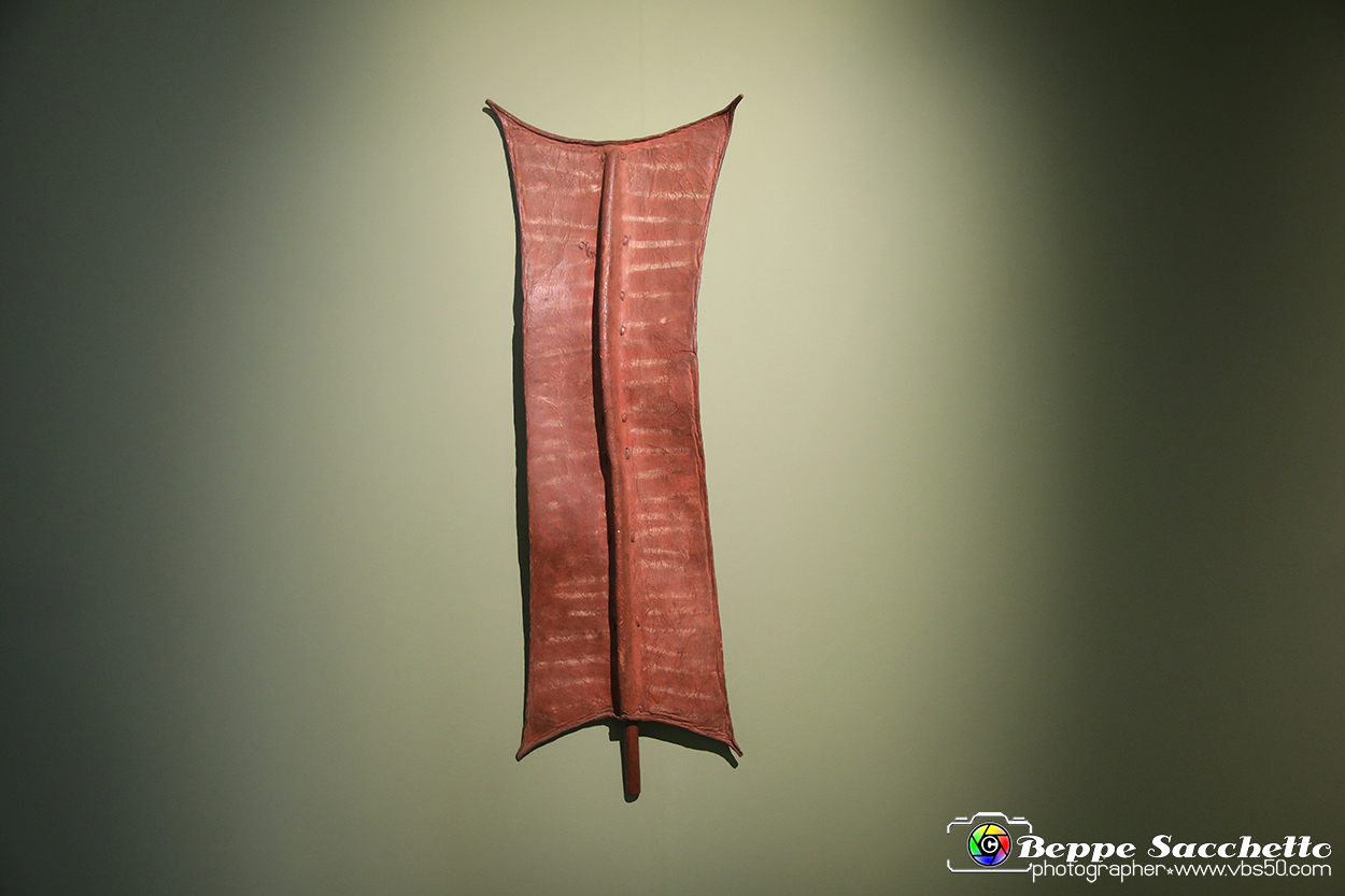 VBS_5329 - Africa - Le collezioni dimenticate.jpg